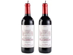 Britesta Weinflasche Kerze:2er Pack Dekorative Wachskerze In Authentischer Weinflaschenform 29 Cm