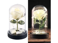 Lunartec LED Rose Im Glas:Edle Kunst-Rose Mit LED-Beleuchtung In Echtglas-Kuppel, Weiß